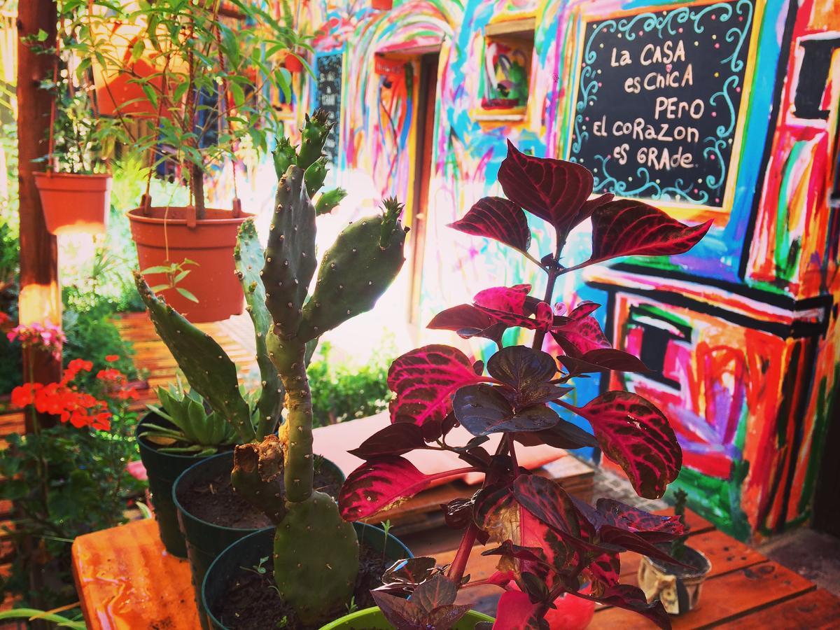 La Puerta Verde Hostel & Bar 乌玛瓦卡 外观 照片